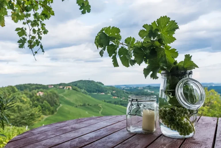 TVB Leutschach - Südsteiermark