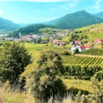 Radtour in die Wachau ab Spitz