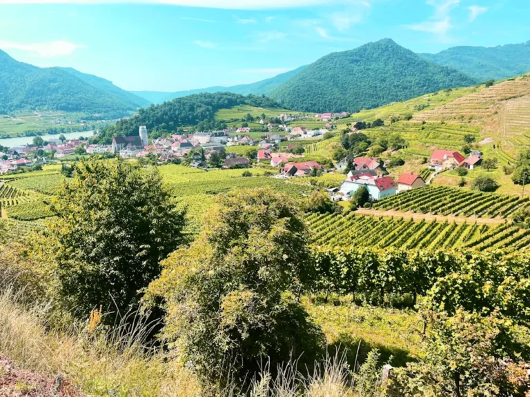 Radtour in die Wachau ab Spitz